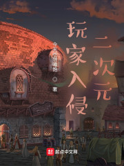 玩家入侵二次元