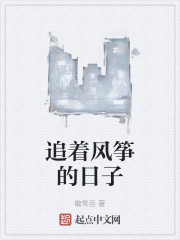 追着风筝的日子