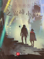 精灵都市之巅峰小智