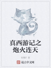 真西游记之炮火连天