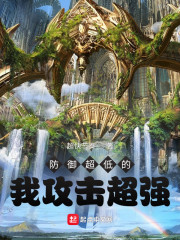 防御超低的我攻击超强