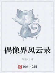 偶像界风云录