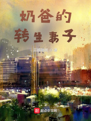 奶爸的转生妻子
