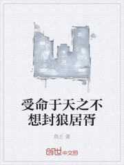 受命于天之不想封狼居胥