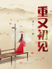 重又初见