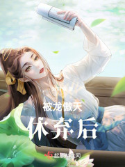 被龙傲天休弃后