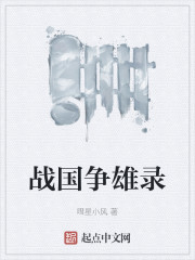 战国争雄录