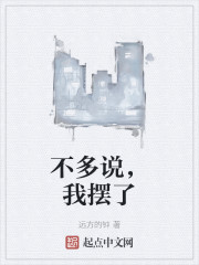 不多说，我摆了
