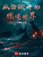 从海贼开始燃烧世界