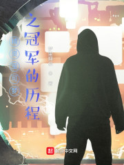 精灵宝可梦之冠军的历程