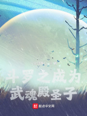 斗罗之成为武魂殿圣子