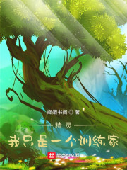 精灵，我只是一个训练家