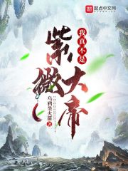 我真不是紫微大帝