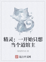 精灵：一开始只想当个道馆主