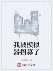 我被模拟器招募了