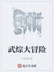 武综大冒险