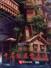 模拟器：从被五雷轰顶开始