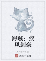 海贼：疾风剑豪