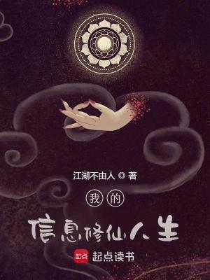 我的信息修仙人生