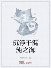 沉浮于混沌之海