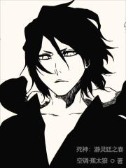 死神：瀞灵廷之春