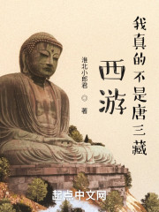 西游我真的不是唐三藏