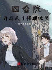 四合院：开局成了棒梗他爹