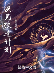 洪荒改造计划