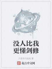 没人比我更懂剑修