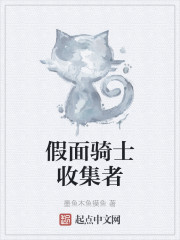 假面骑士收集者