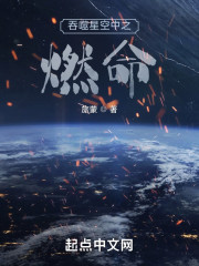 吞噬星空中之燃命