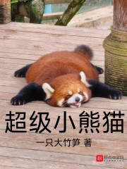 超级小熊猫