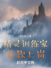 精灵训练家：贷款上岗