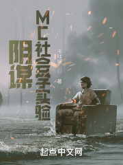 阴谋：MC社会学实验
