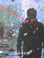 我真的是个文职啊