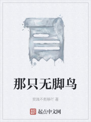 那只无脚鸟