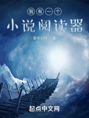 我有一个小说阅读器