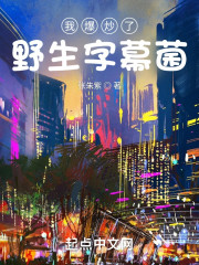 我爆炒了野生字幕菌