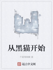 从黑猫开始