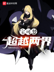 宝可梦：超越两界