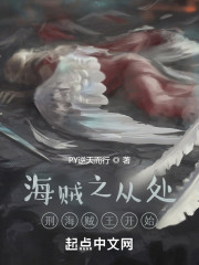 海贼之从处刑海贼王开始