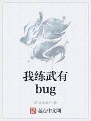 我练武有bug