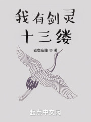 我有剑灵十三缕