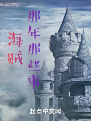 海贼：关于我在大海上参团的日子