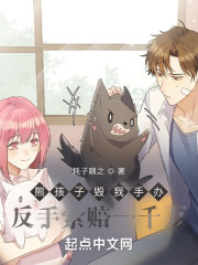 熊孩子毁我手办，反手索赔一千万