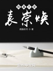 我真不是袁崇焕