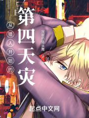 从全职猎人开始的第四天灾