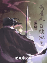 海贼：我有人生模拟器
