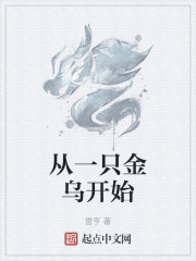 从一只金乌开始