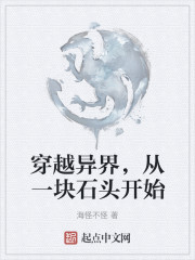 穿越异界，从一块石头开始
